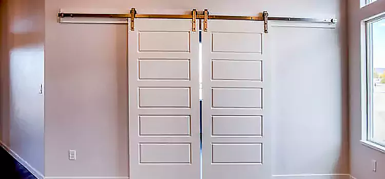 Glass Barn Door with Installation Hardware Kit Des Moines