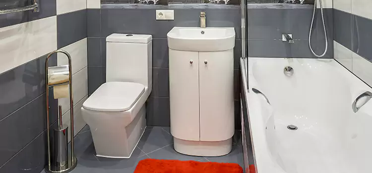 Hansgrohe Shaving Mirror Des Moines